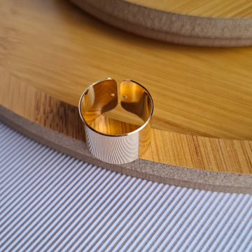 Anel Regulável Chapado Liso Folheado a Ouro 18K - OURO
